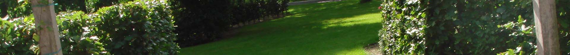 Hoveniersbedrijf Michel Boerkamp